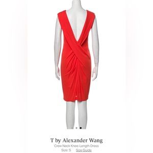 SOLD ON TRR - T by Alexander Wang Shift Dress